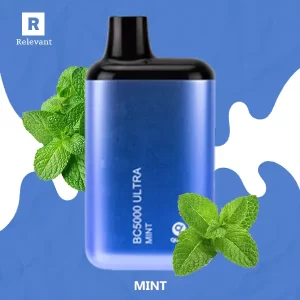 Mint ELFBAR BC5000